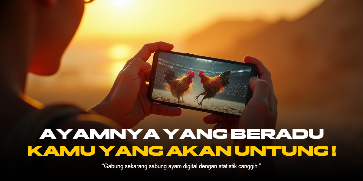 Menelisik Dunia Sabung Ayam: Tradisi, Kontroversi, dan Perkembangannya